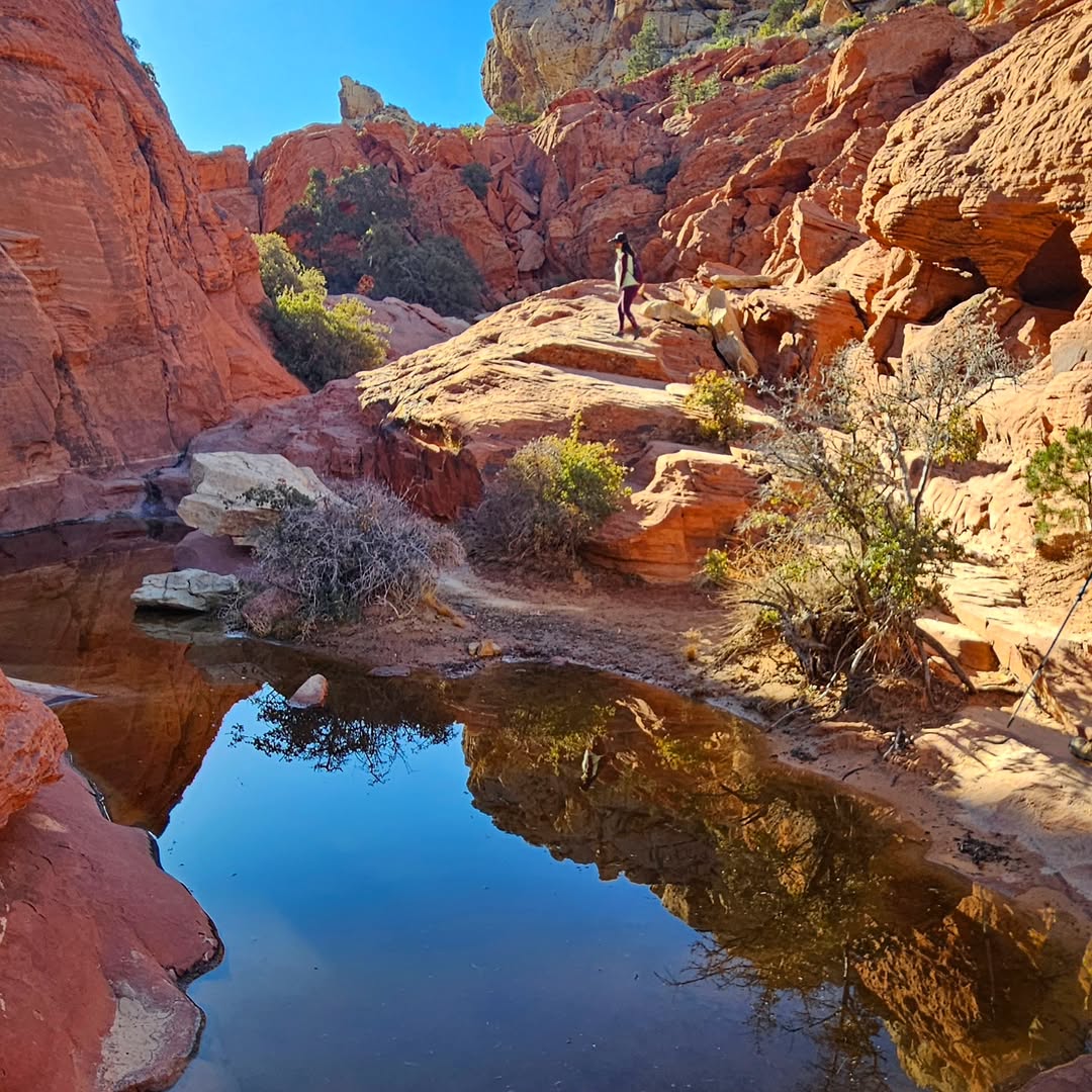Red Rock Canyon National Conservation Area