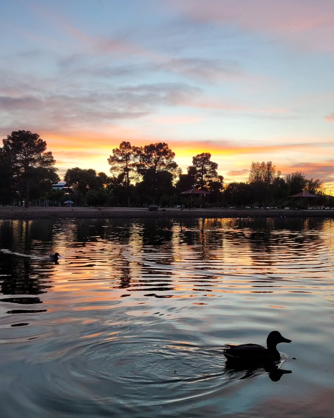 Sunset park, Las Vegas