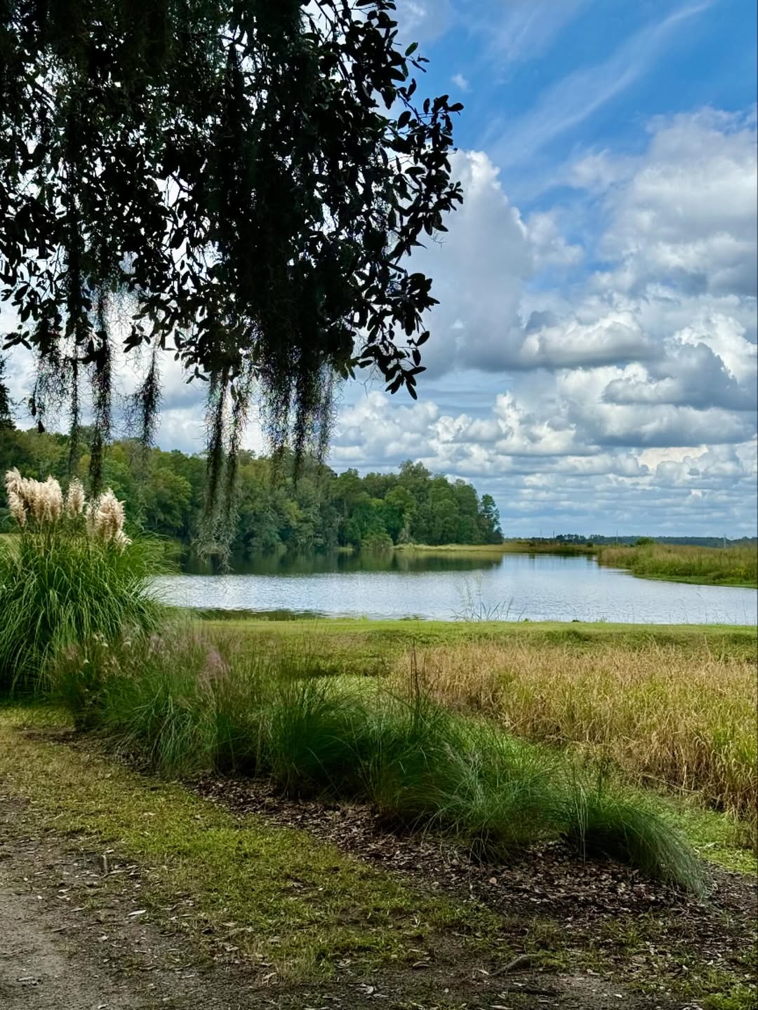 Ashley River