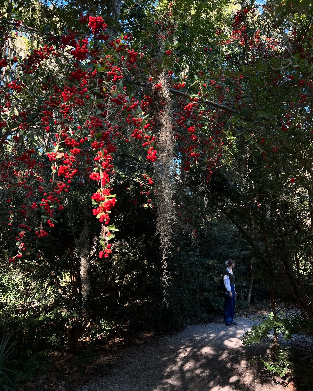 Magnolia Plantation & Gardens