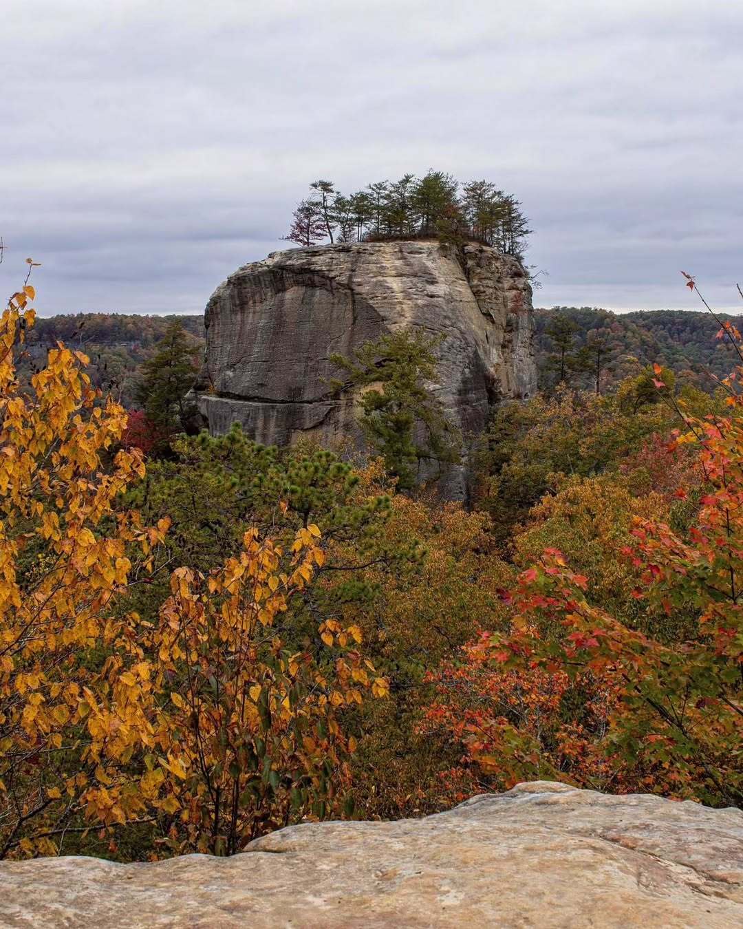 Red River Gorge Geological Area