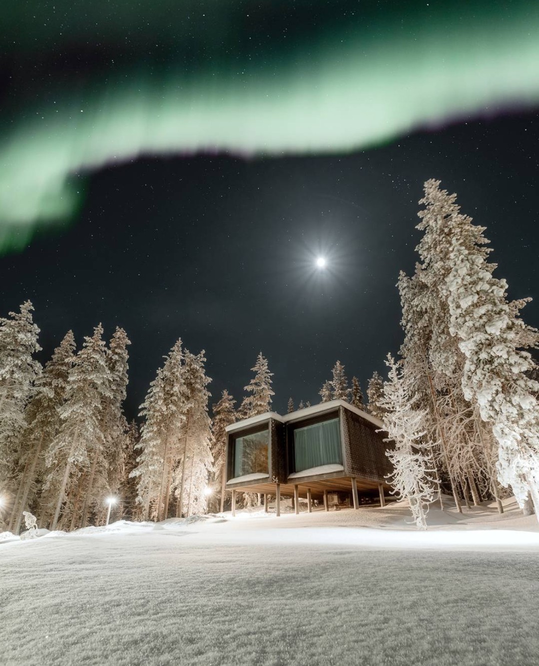 Arctic TreeHouse Hotel