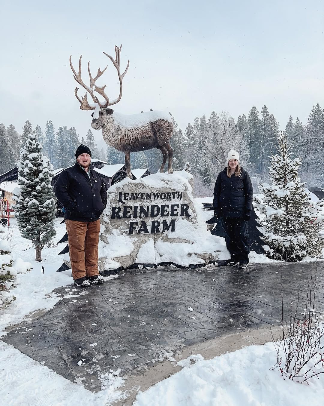 Wear merino wool and down coats