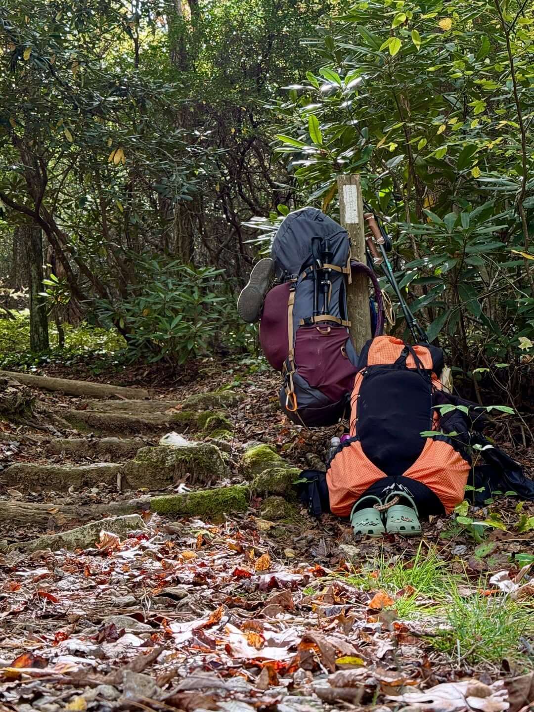 Appalachian trail packing