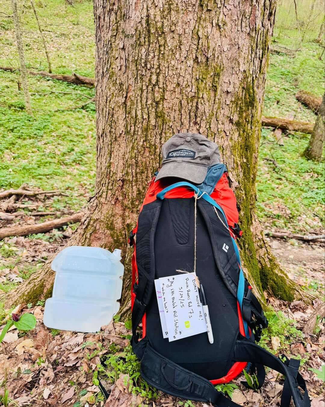 Mountain trip packing