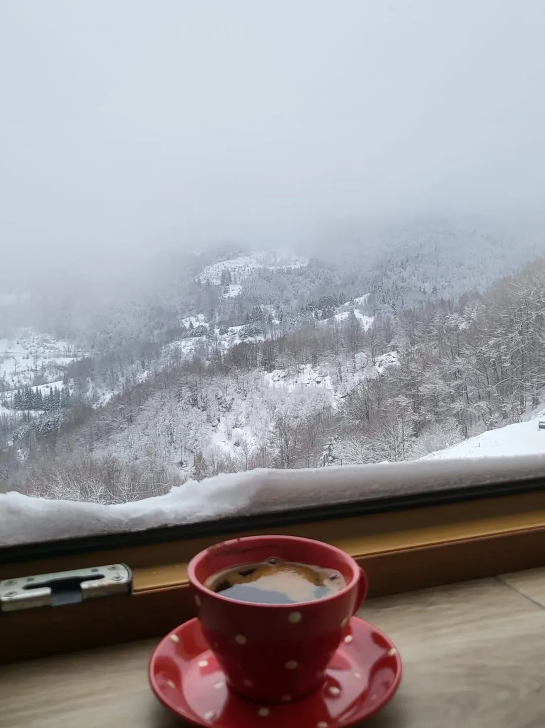 Organization makes life easy