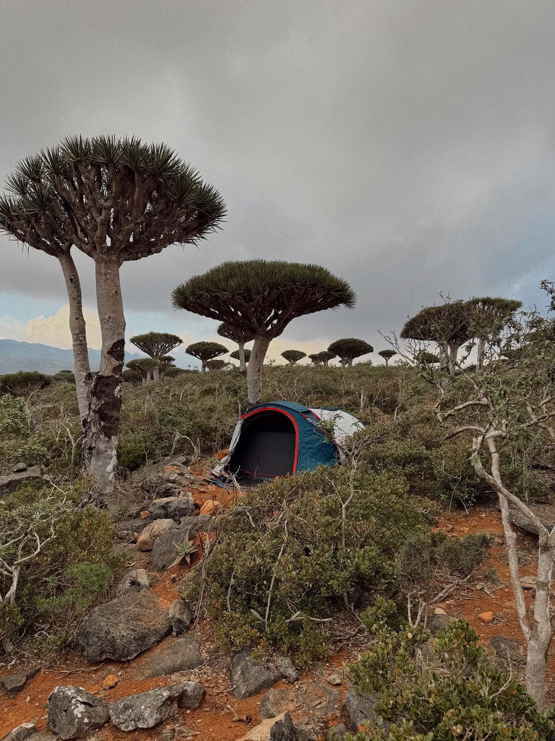 Socotra Island