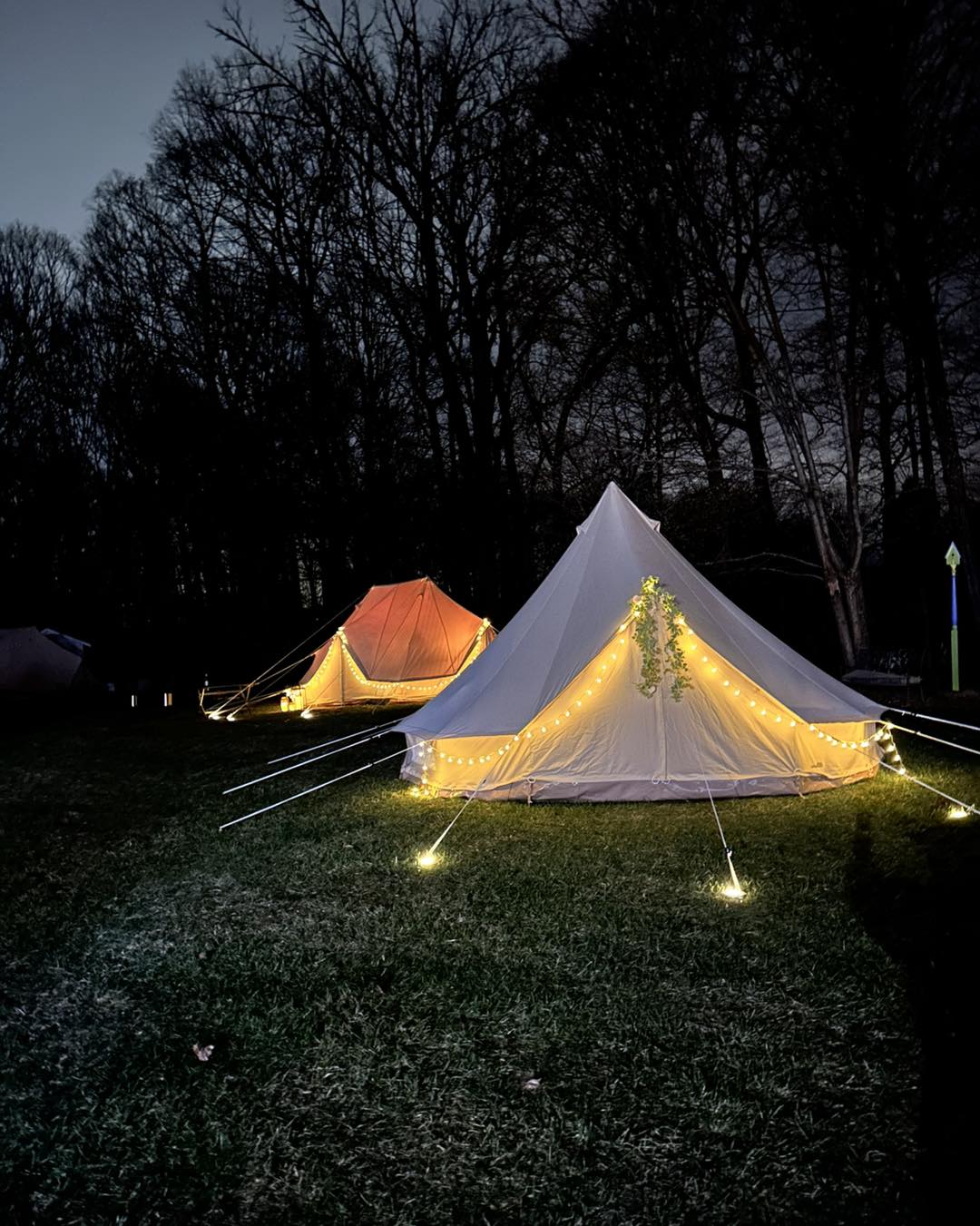 String lights are my favorite glamping setup