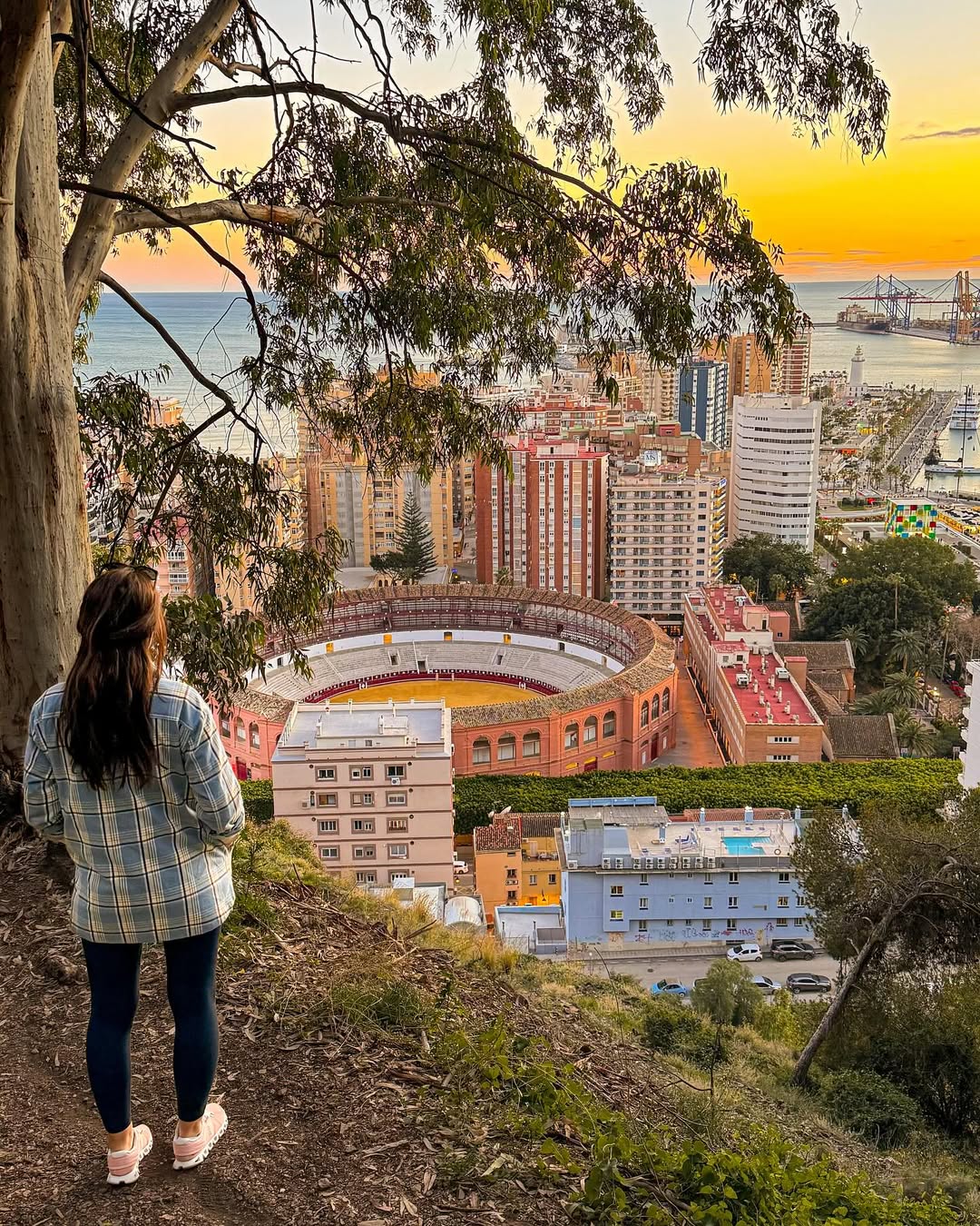 Image credit: instagram@thecurious_eye