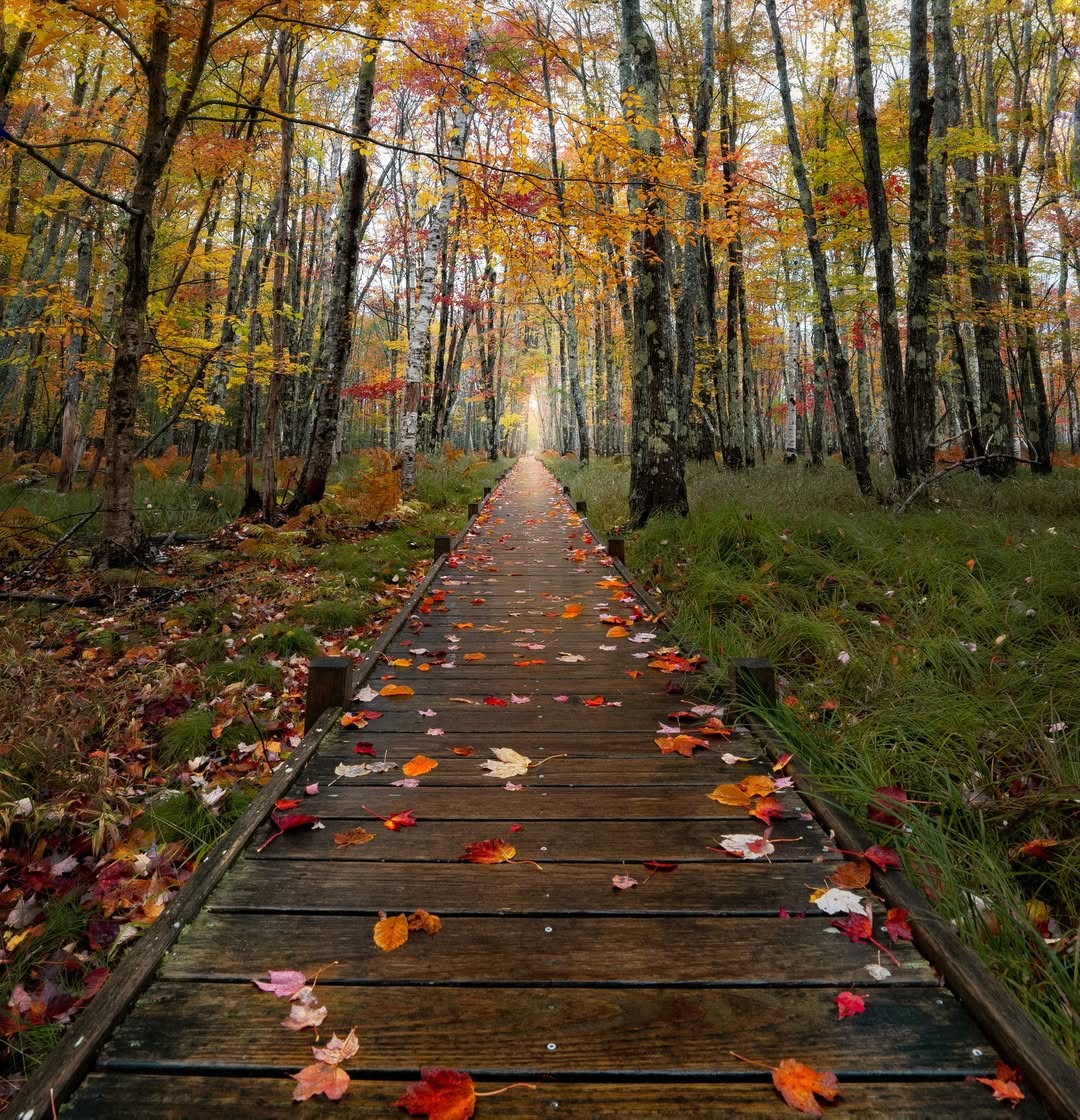 Acadia National Park, Maine (Best in Fall)