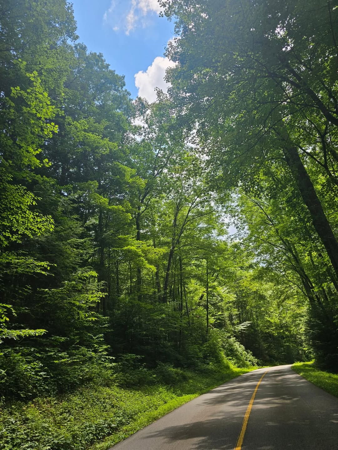 Great Smoky Mountains National Park, Tennessee/North Carolina