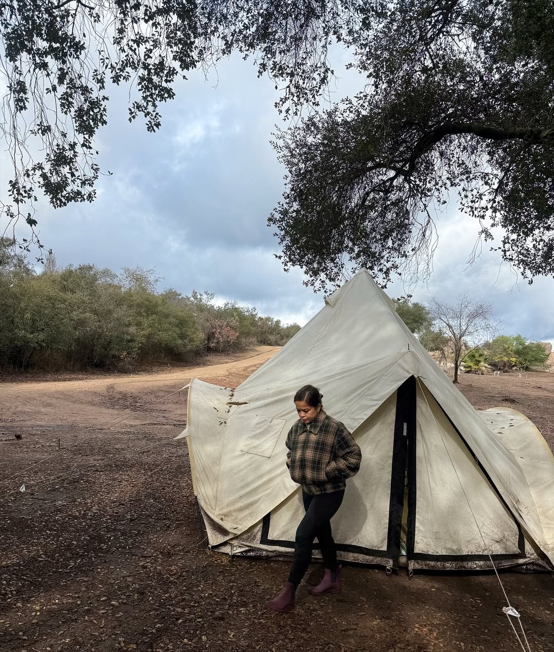 Image credit: instagram@np.carly