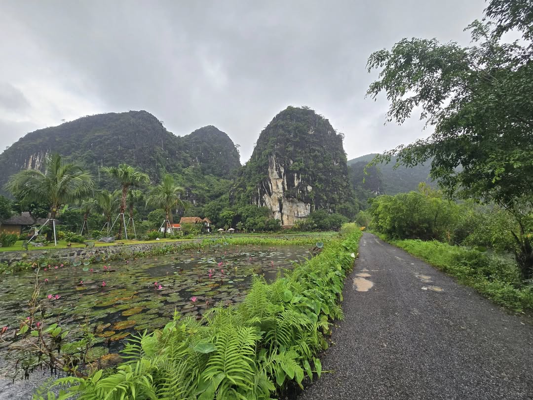 Vietnam
