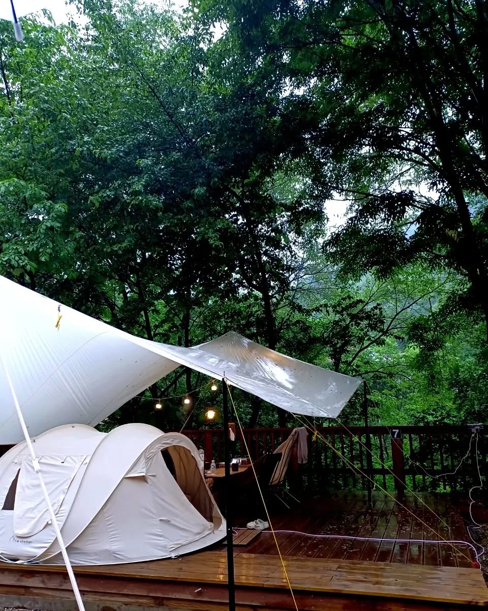 Image credit: instagram@suny_camp