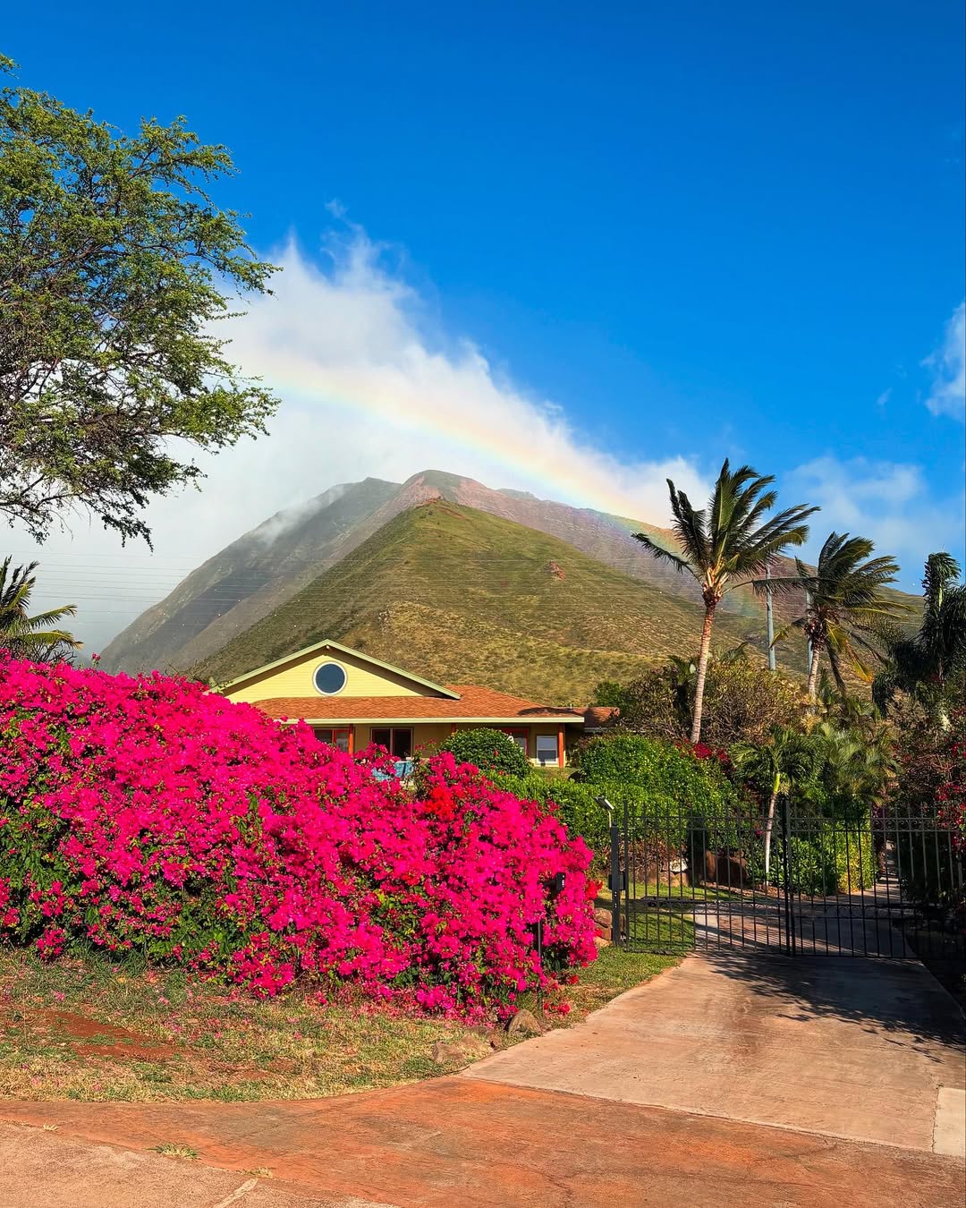 Hawaii aesthetic destination