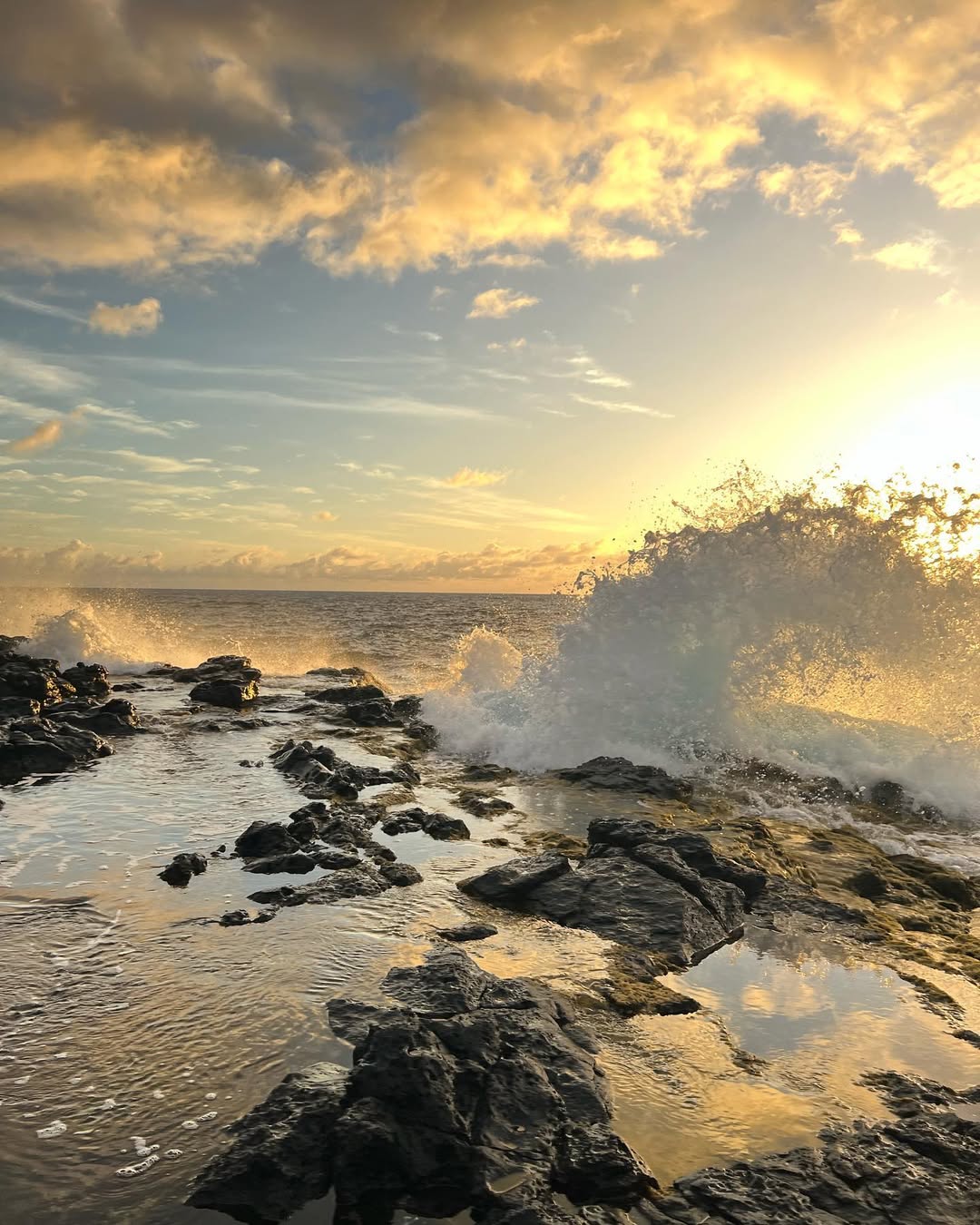 Tidepools at Makapu'u