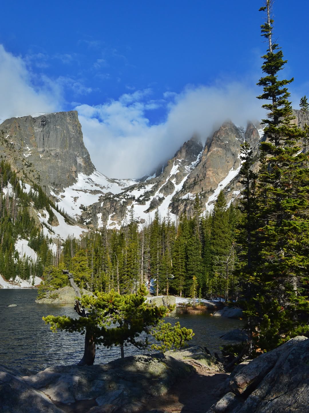 Image source: Instagram@myrandainthemountains