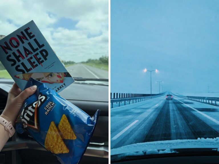 11 Road Trip Essentials for a Stress-Free Drive