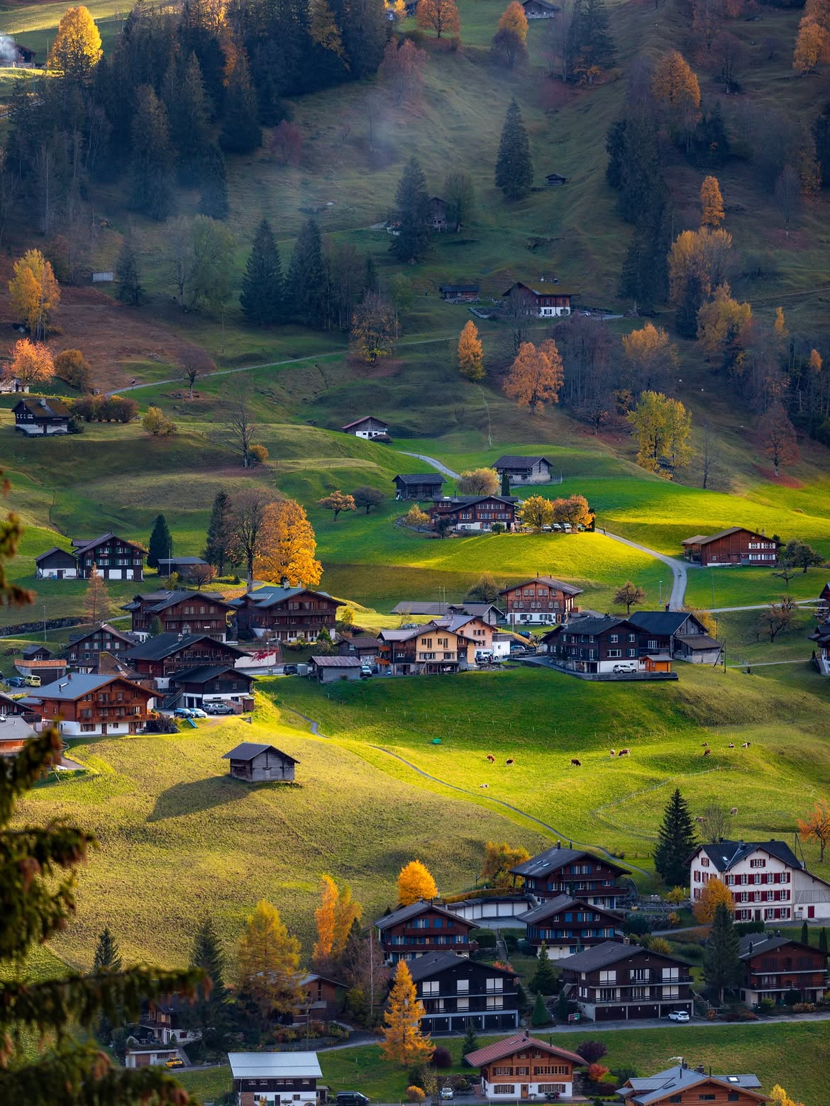 Grindelwald