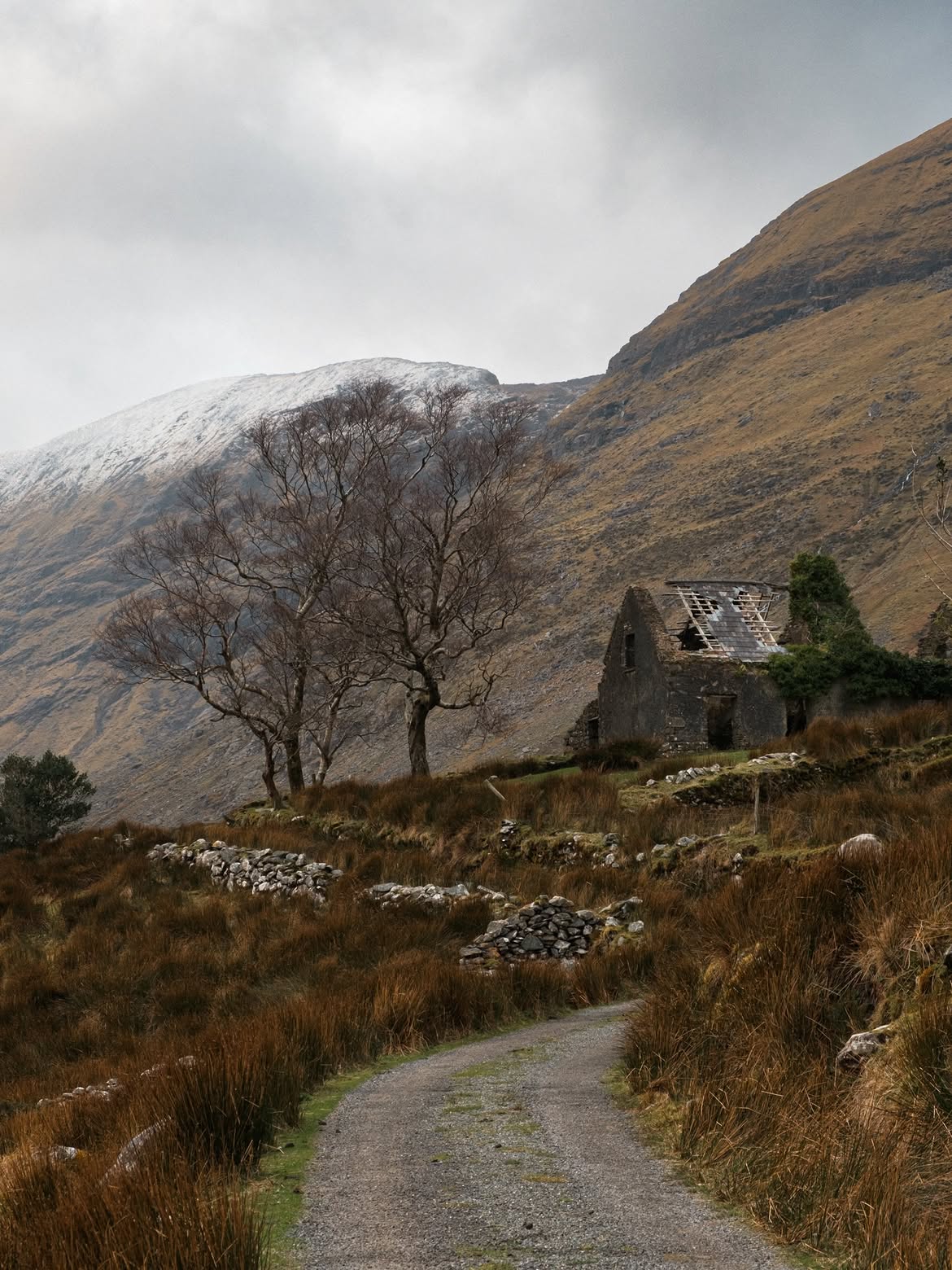 Irish countryside