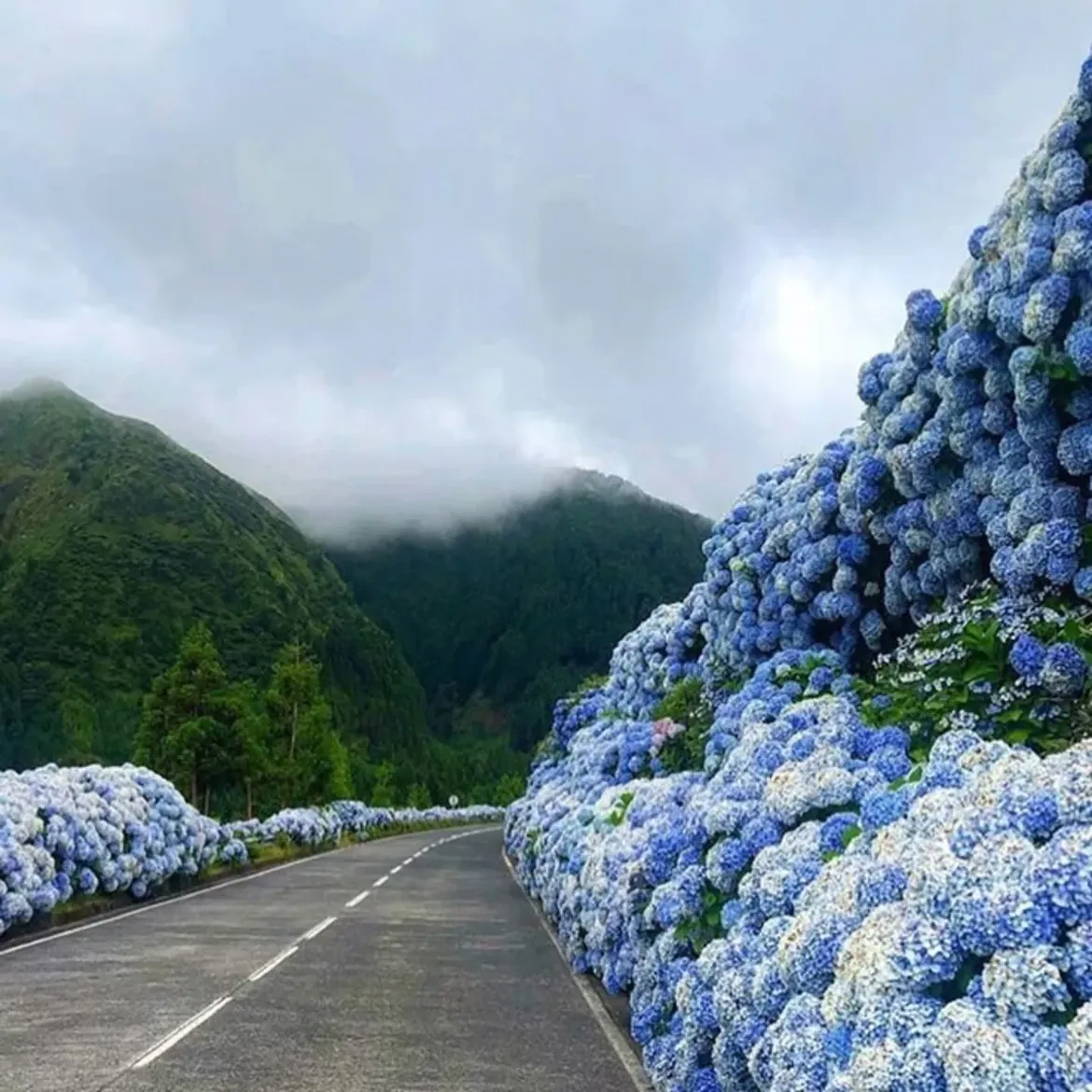Sao Miguel, Azores, Portugal