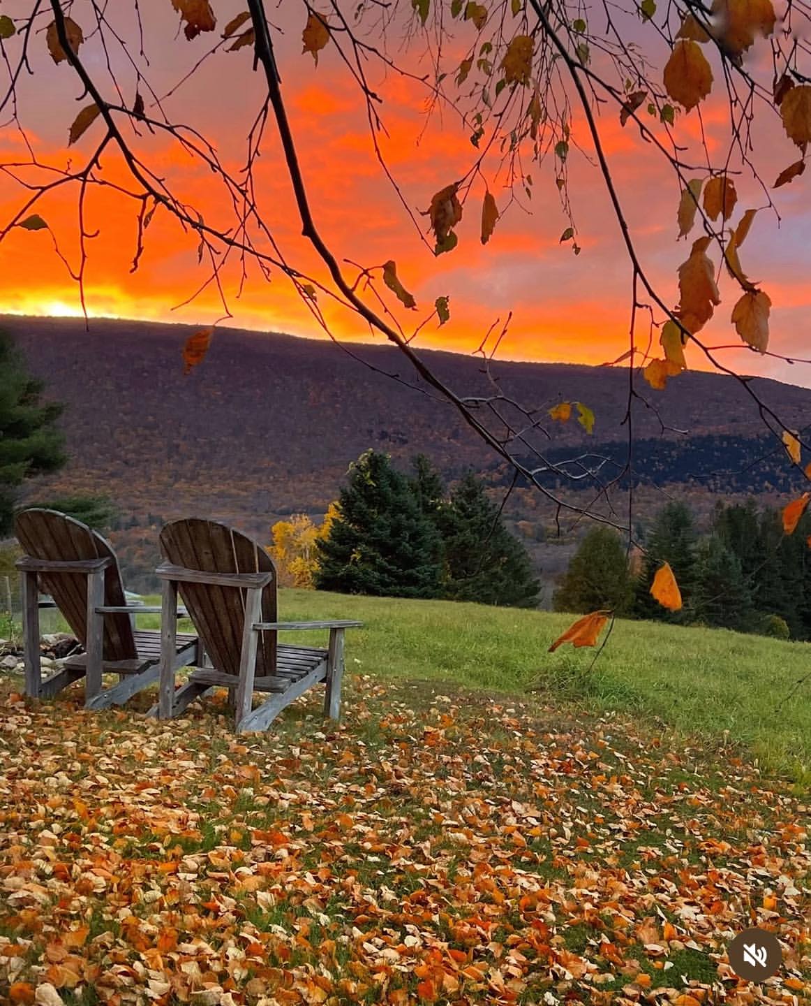 Image source: Instagram@therealvermont